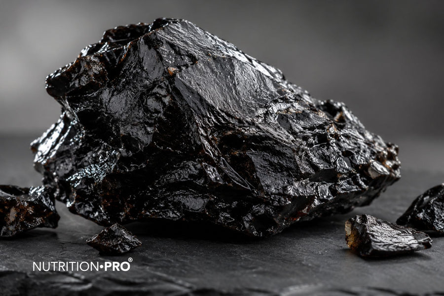 Quel est le meilleur shilajit ? Critères, preuves cliniques et comparatif (2026)