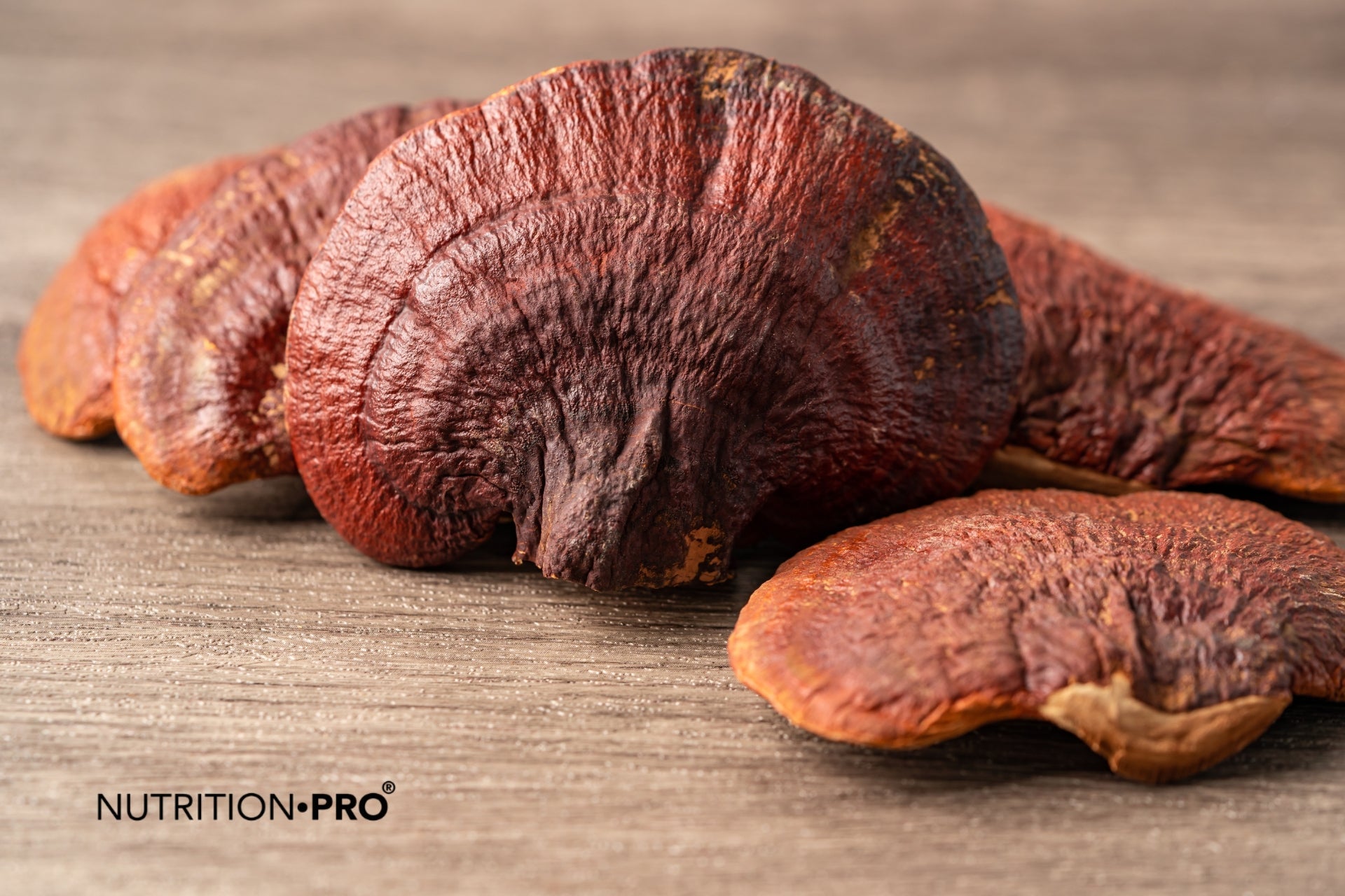 Reishi : 6 bienfaits prouvés sur stress, sommeil et immunité