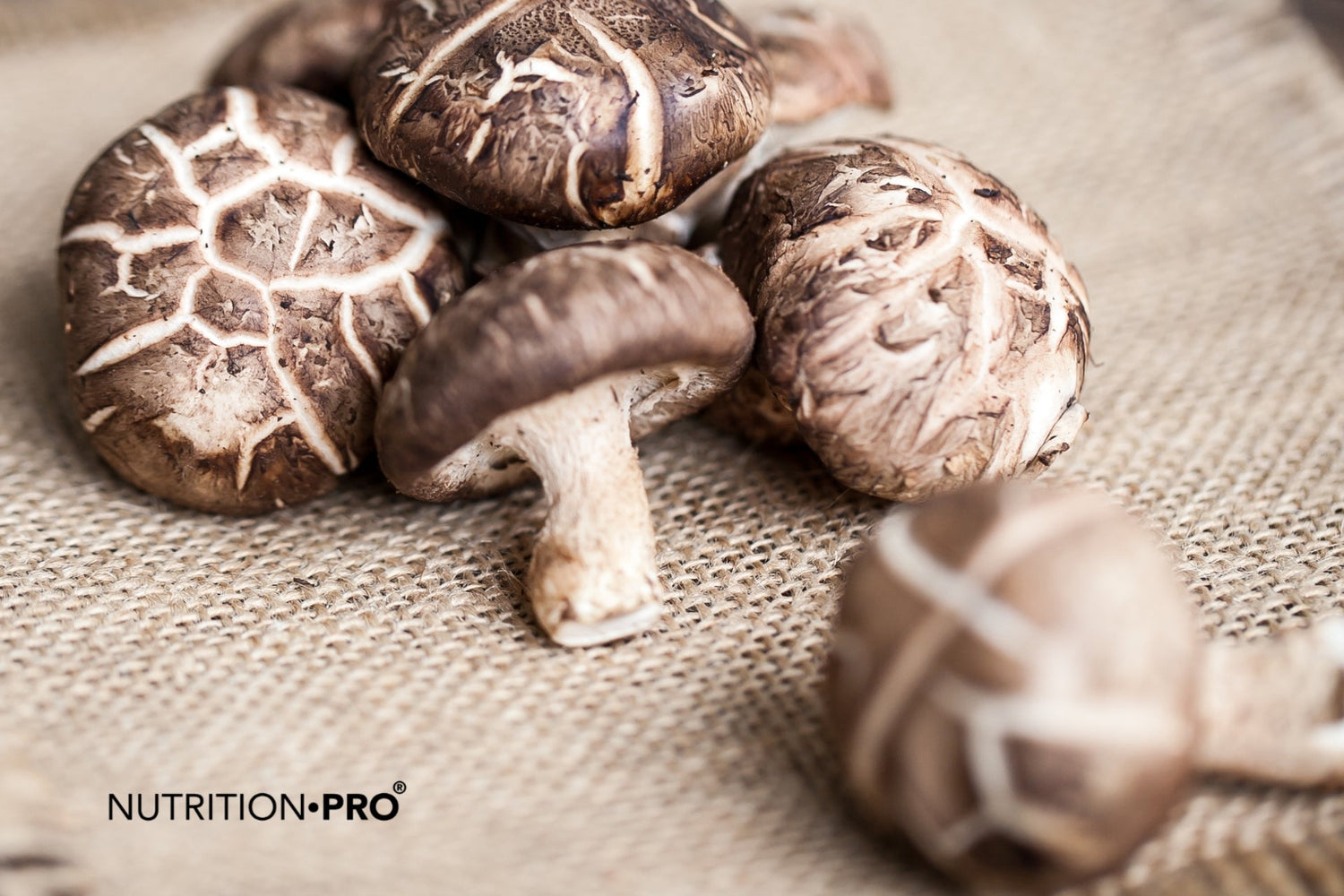 Shiitake : 6 bienfaits prouvés sur l'immunité et la santé