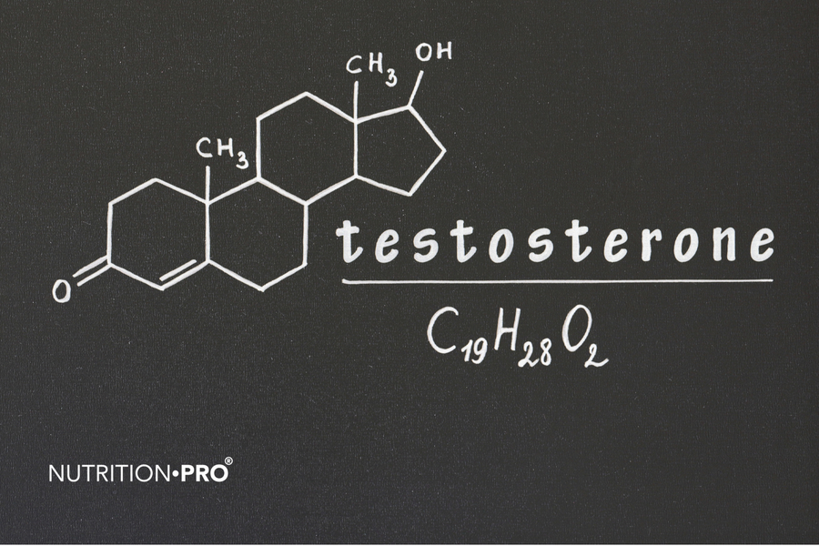 Testostérone basse : symptômes, dosage et quand consulter