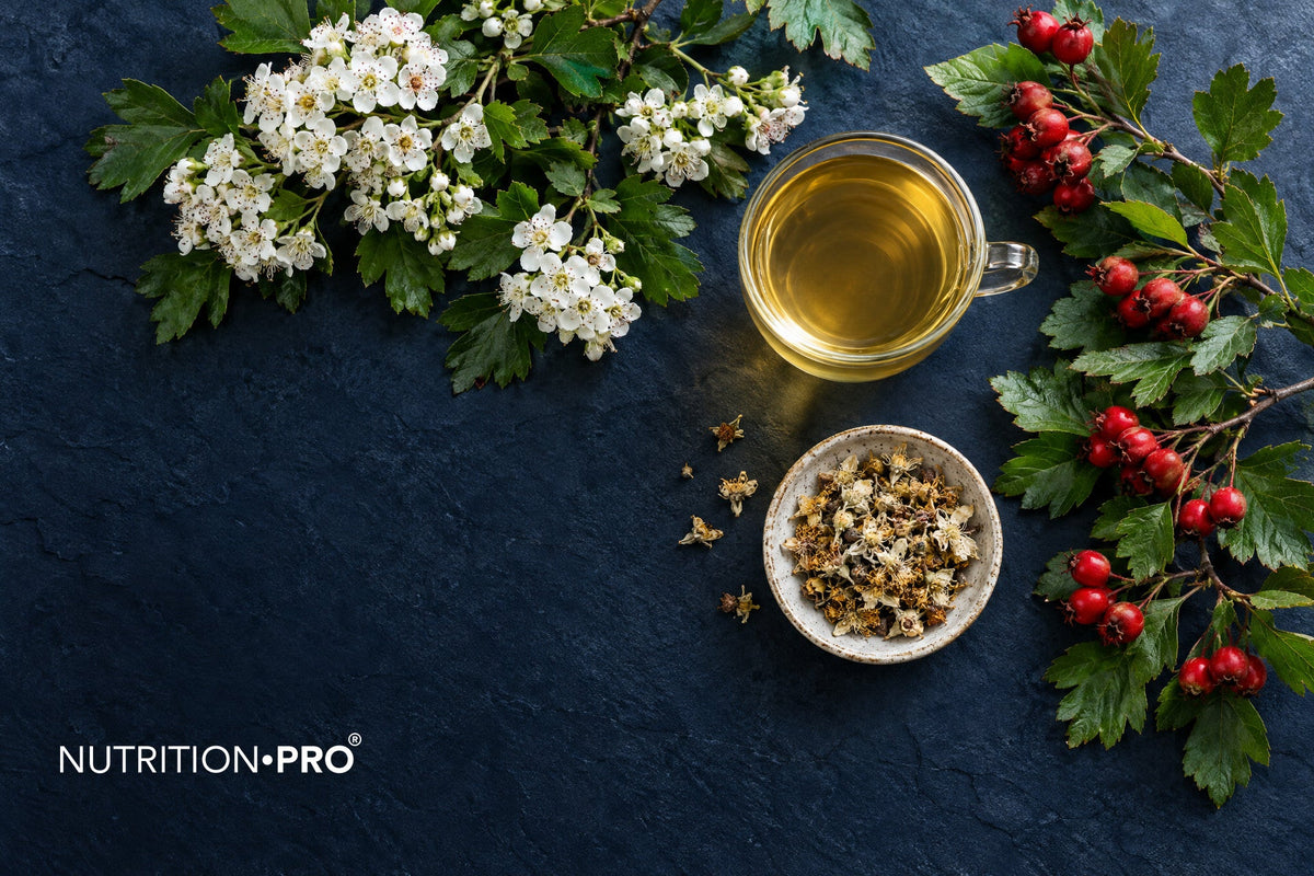 Fleurs et baies d'aubépine avec une infusion