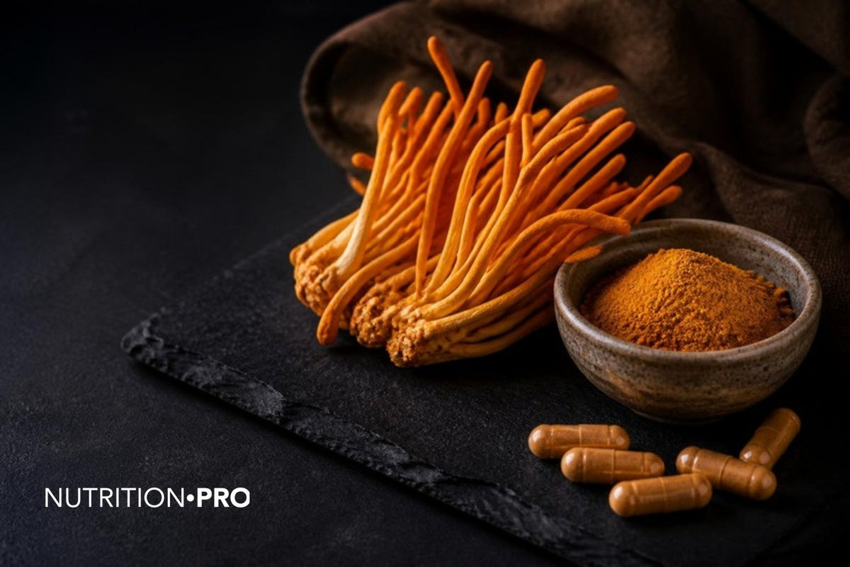 Champignons Cordyceps militaris orange, poudre et gélules sur une ardoise sombre, cordyceps bienfaits dosage dangers