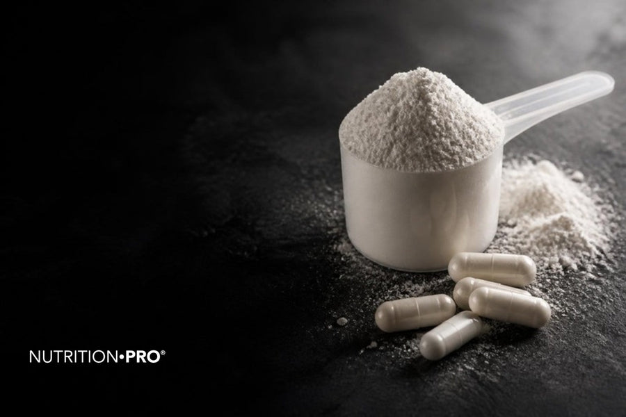 Poudre blanche de créatine dans une cuillère doseuse et gélules sur une pierre sombre, créatine danger effets secondaires