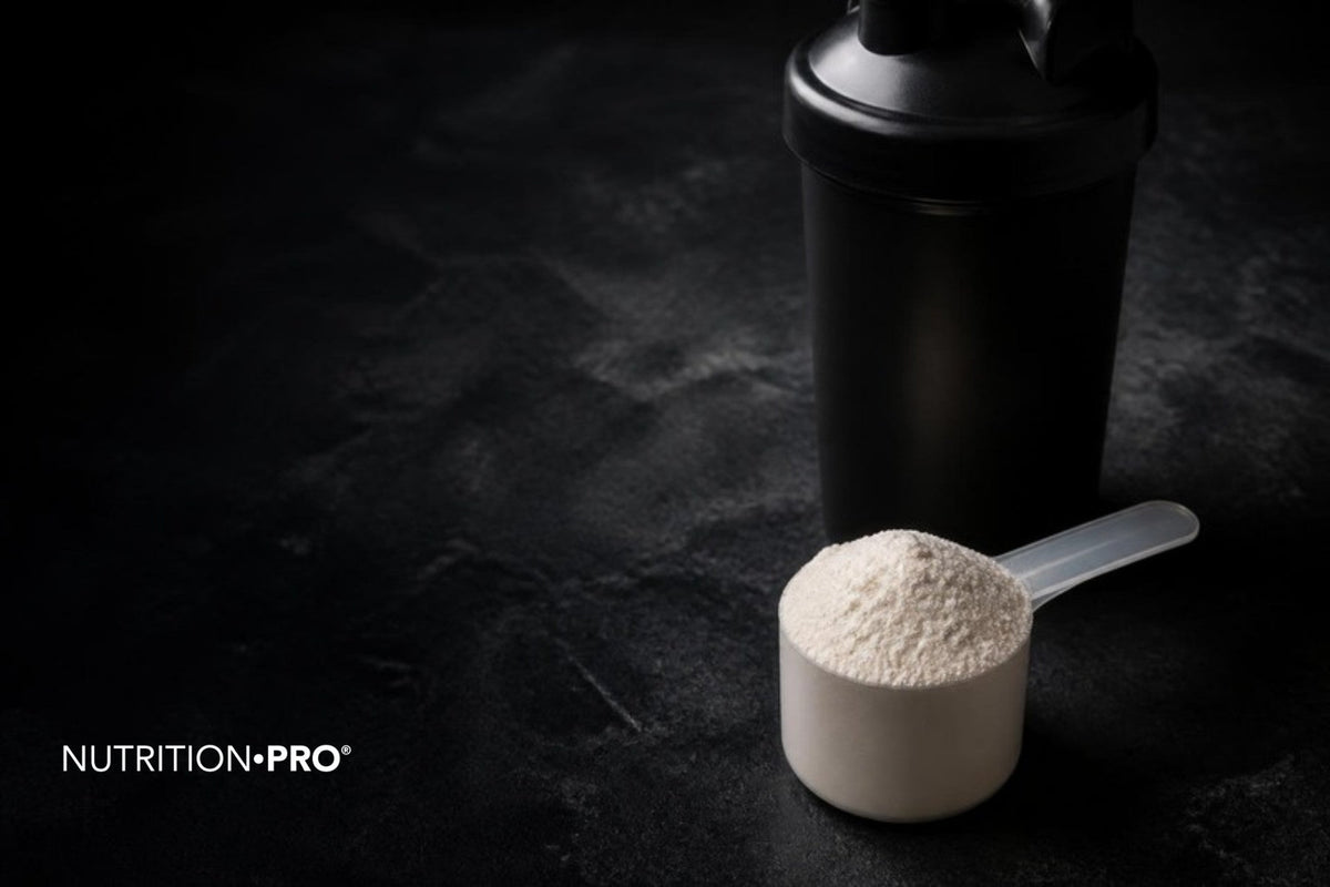 Poudre blanche de glutamine dans une cuillère doseuse sur une pierre sombre, glutamine danger effets secondaires