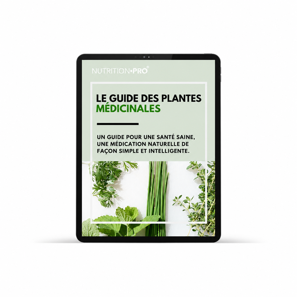 LA GUÍA DE LAS PLANTAS MEDICINALES