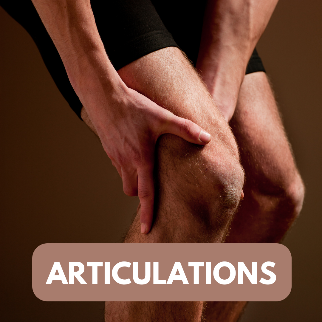 Articulations