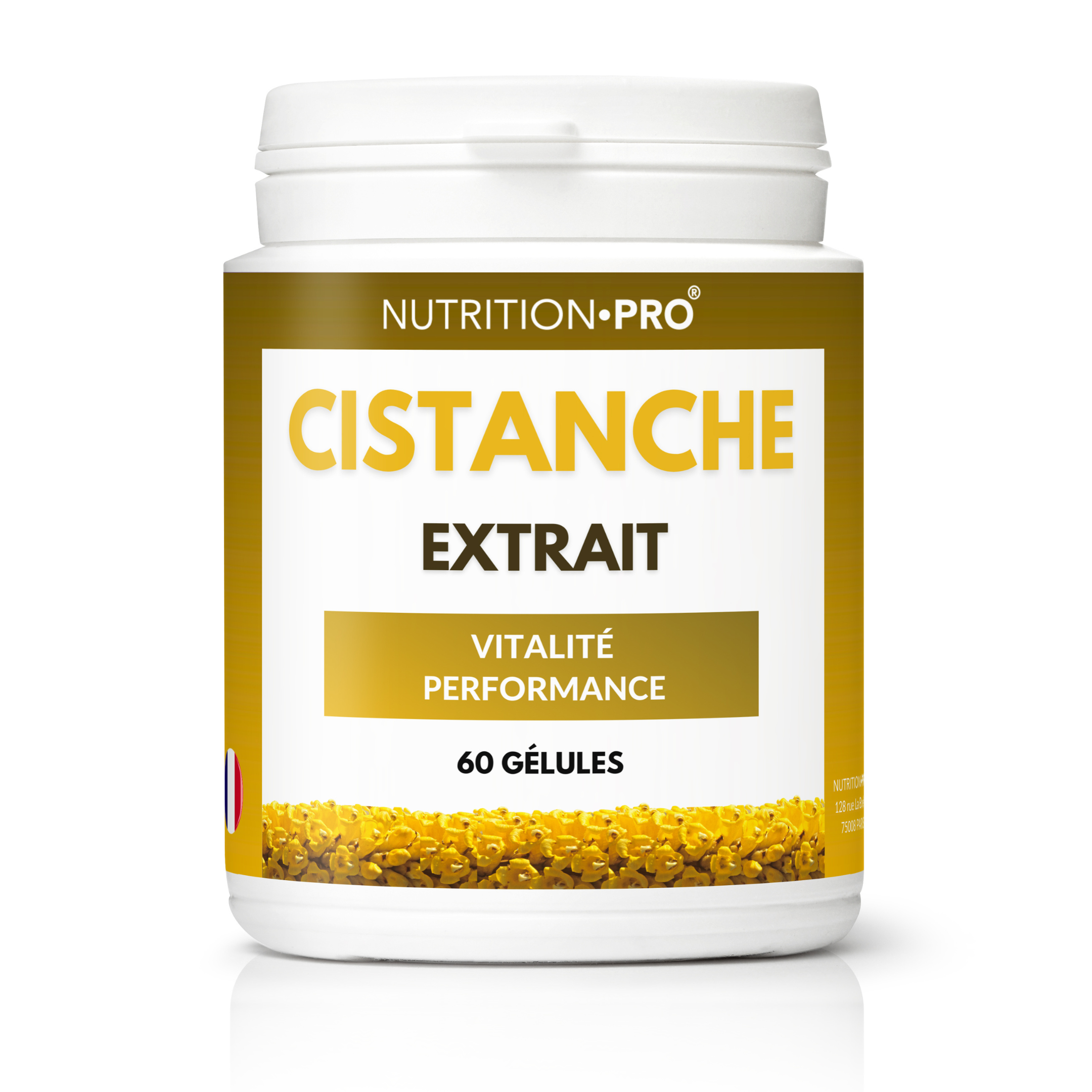 CISTANCHE (EXTRAIT) GÉLULES