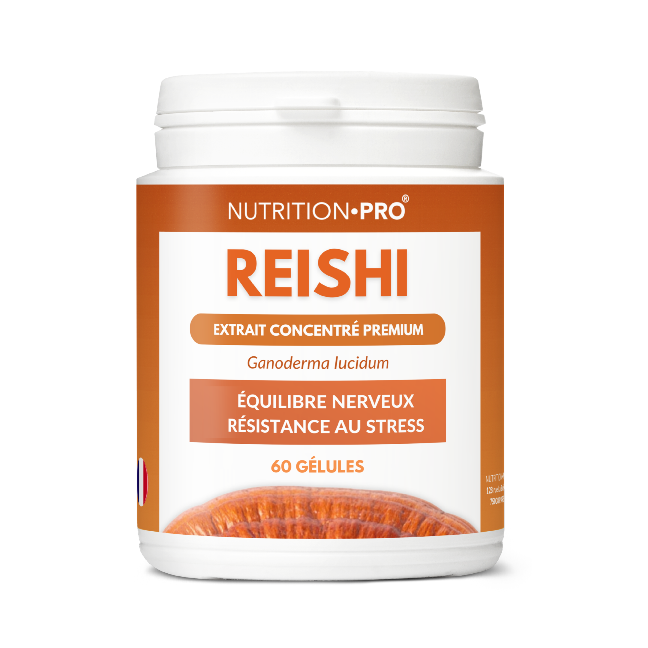 REISHI - 60 CÁPSULAS