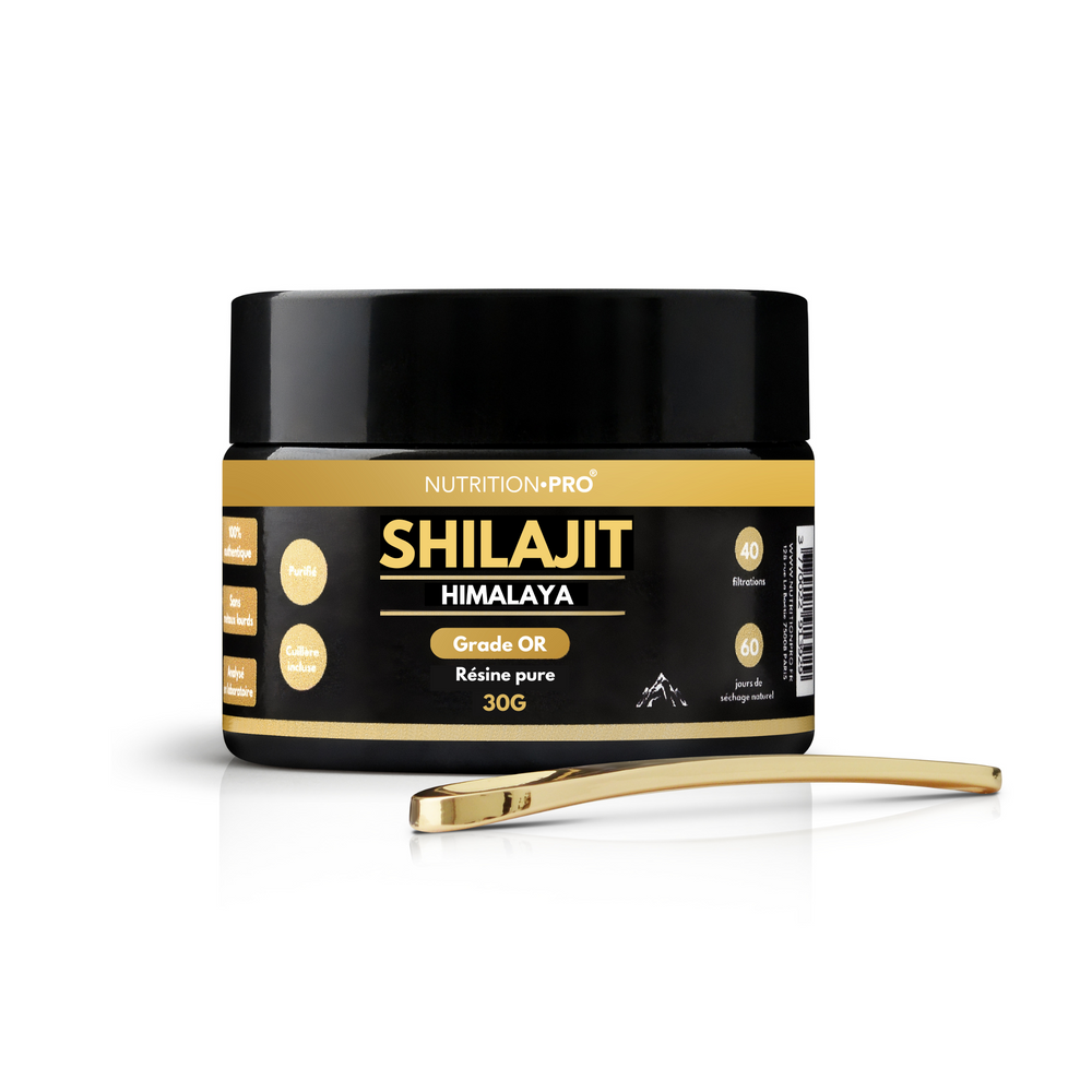 SHILAJIT EN RÉSINE PURE