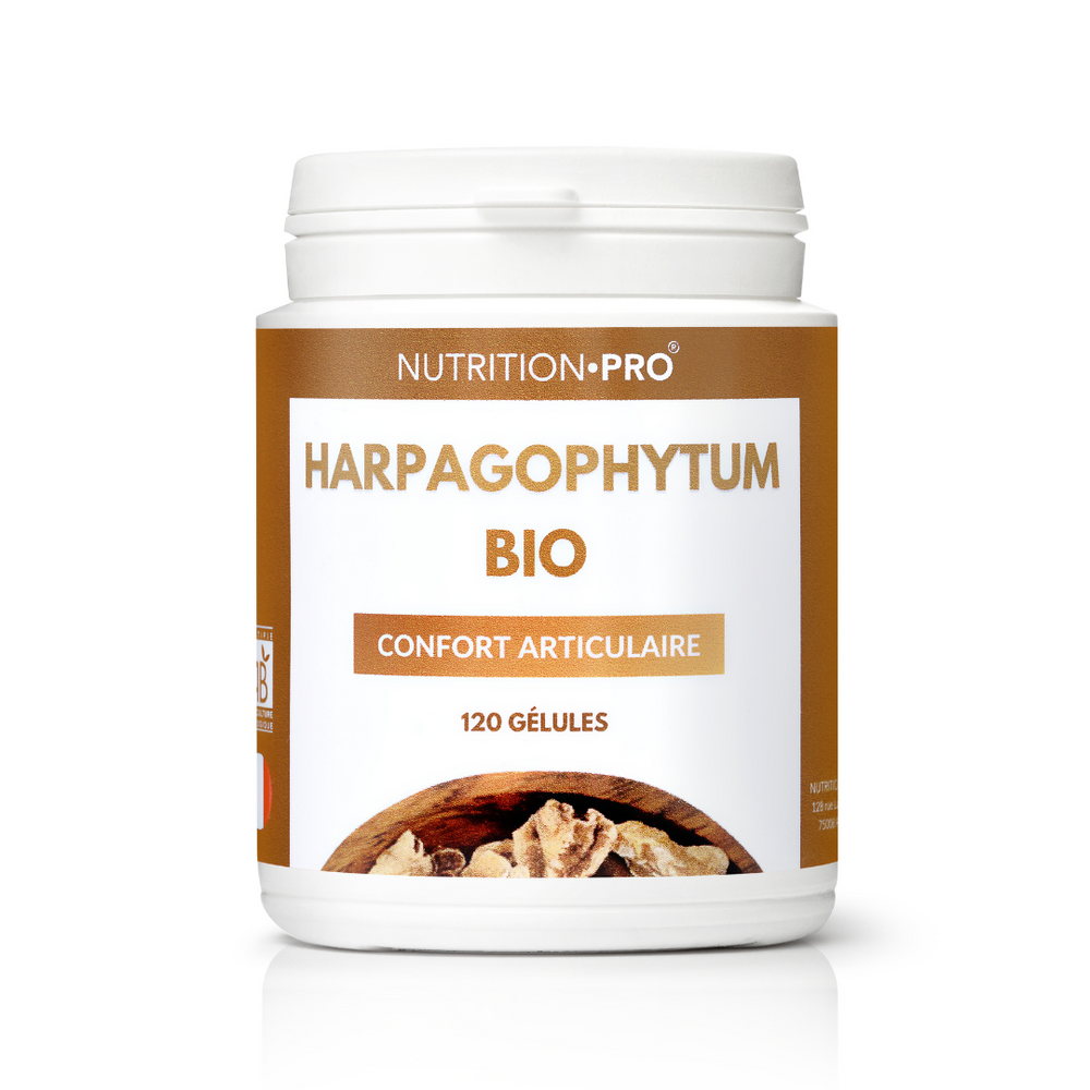 HARPAGOPHYTUM BIO - 120 KAPSELN